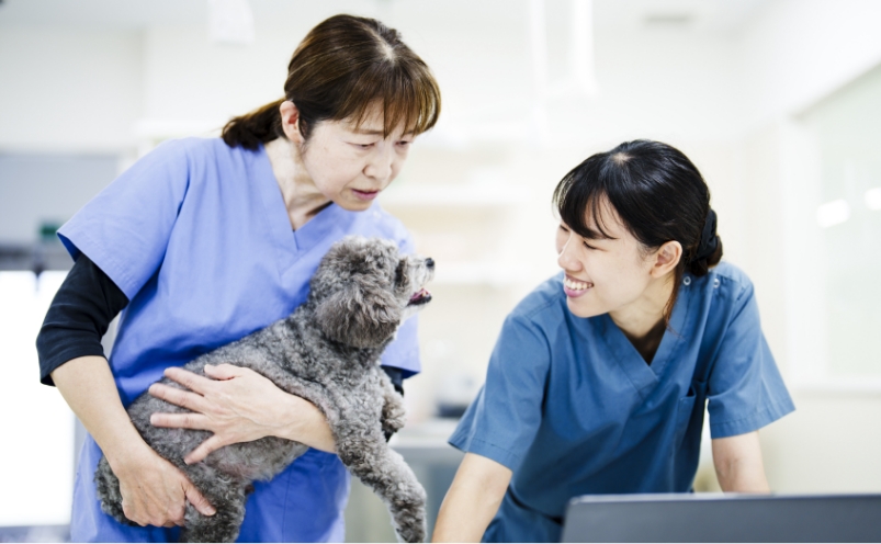 0000年 〇〇病院