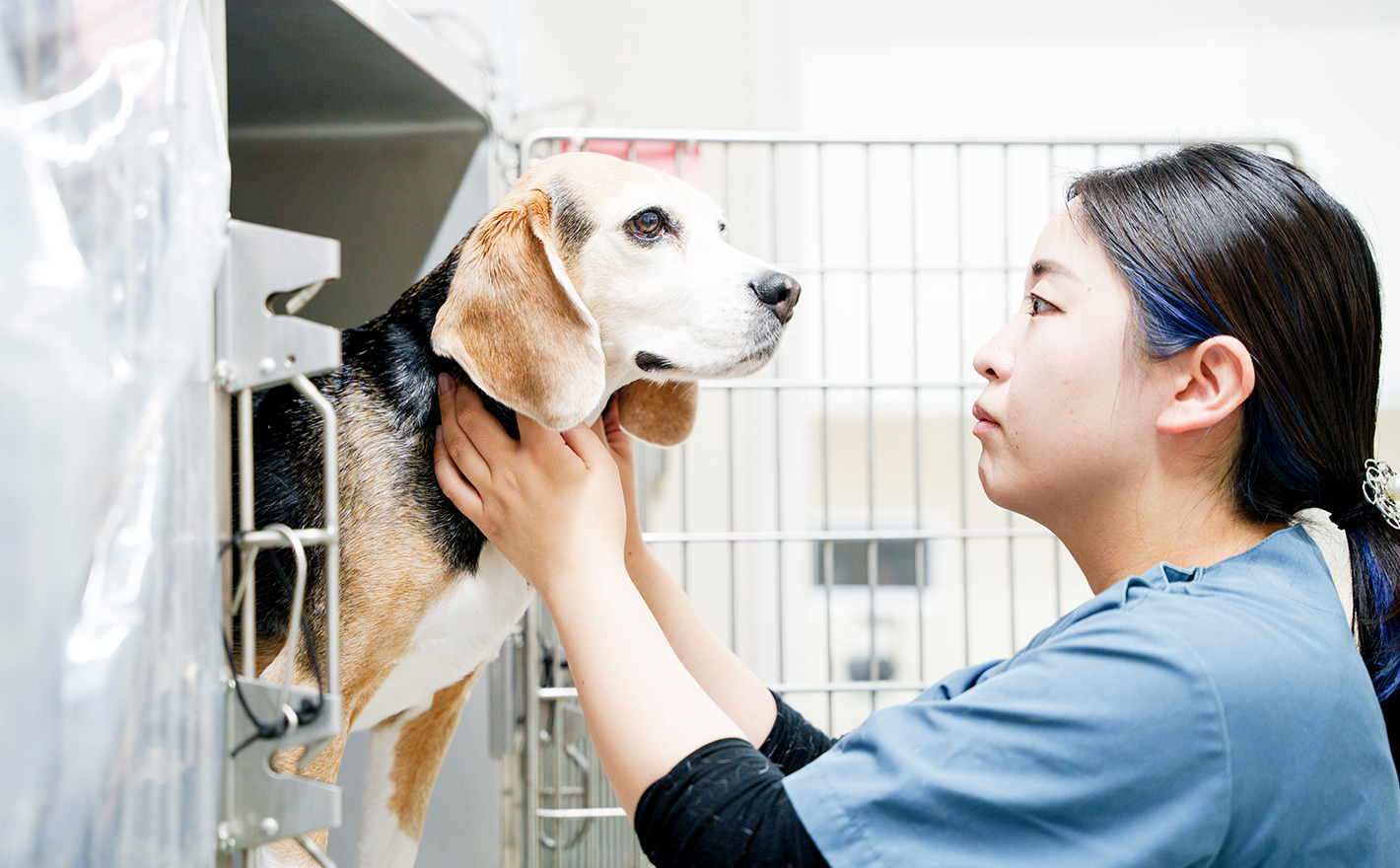 ホテルについて