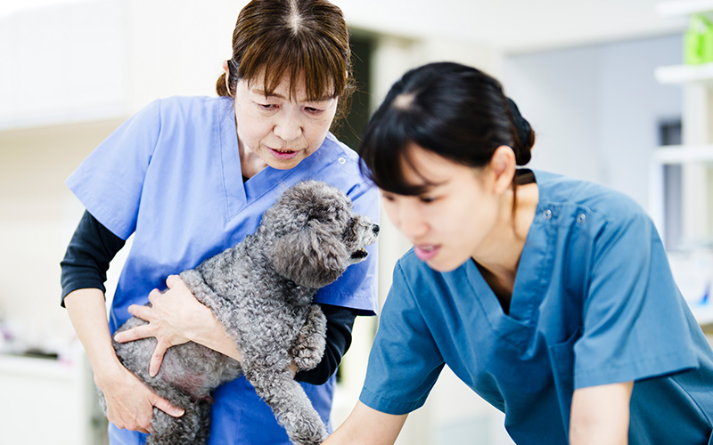 通院中・受診を検討いただいているご家族様へ