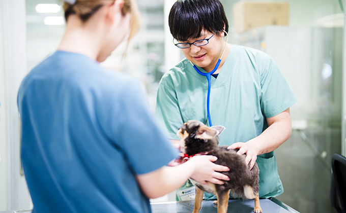 各科の専門医・認定医が診察を担当