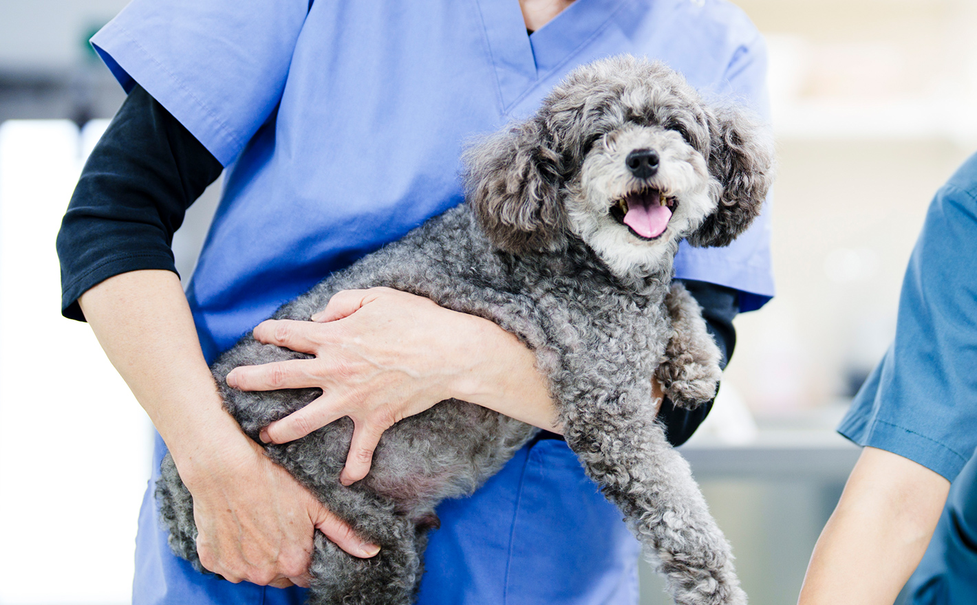 これから必要なケアについて