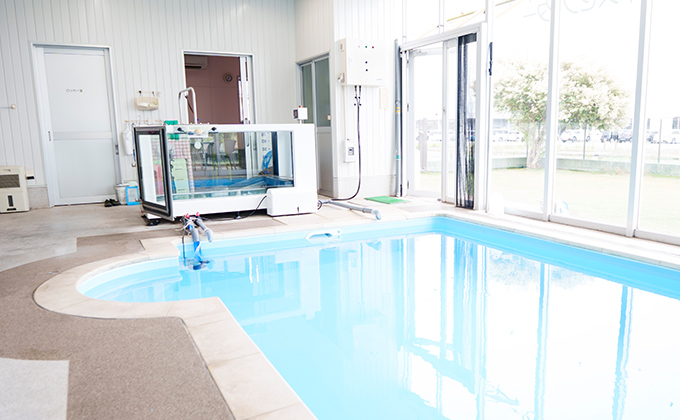 特注の大型トレッドミルやプール、ドッグランなどが揃うリハビリ専用施設