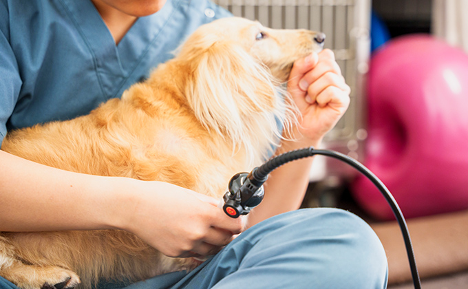 シニアの機能改善や予防的リハビリにも対応