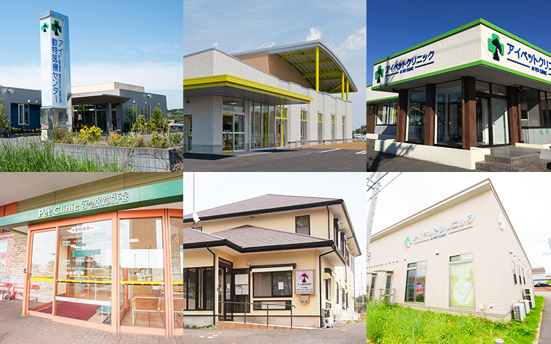 つくば市・水戸市など県内に6つの動物病院を展開