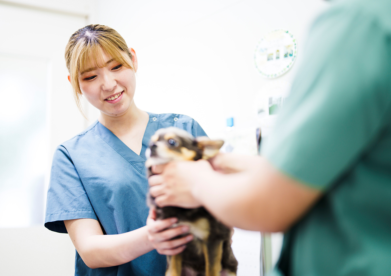 今日の安心から、未来の健康まで