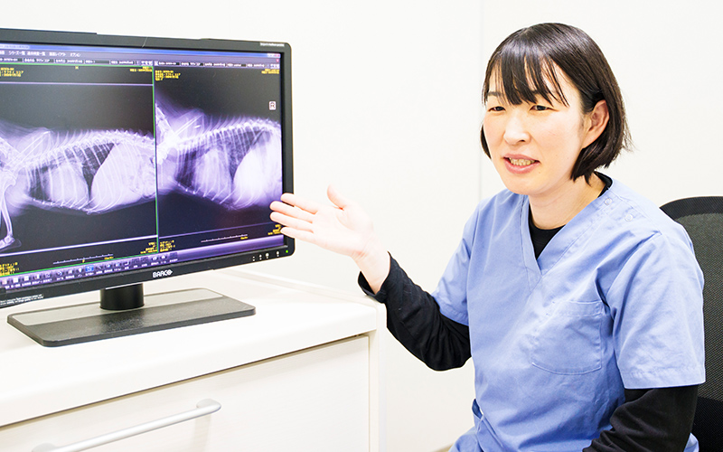 整形外科医療について